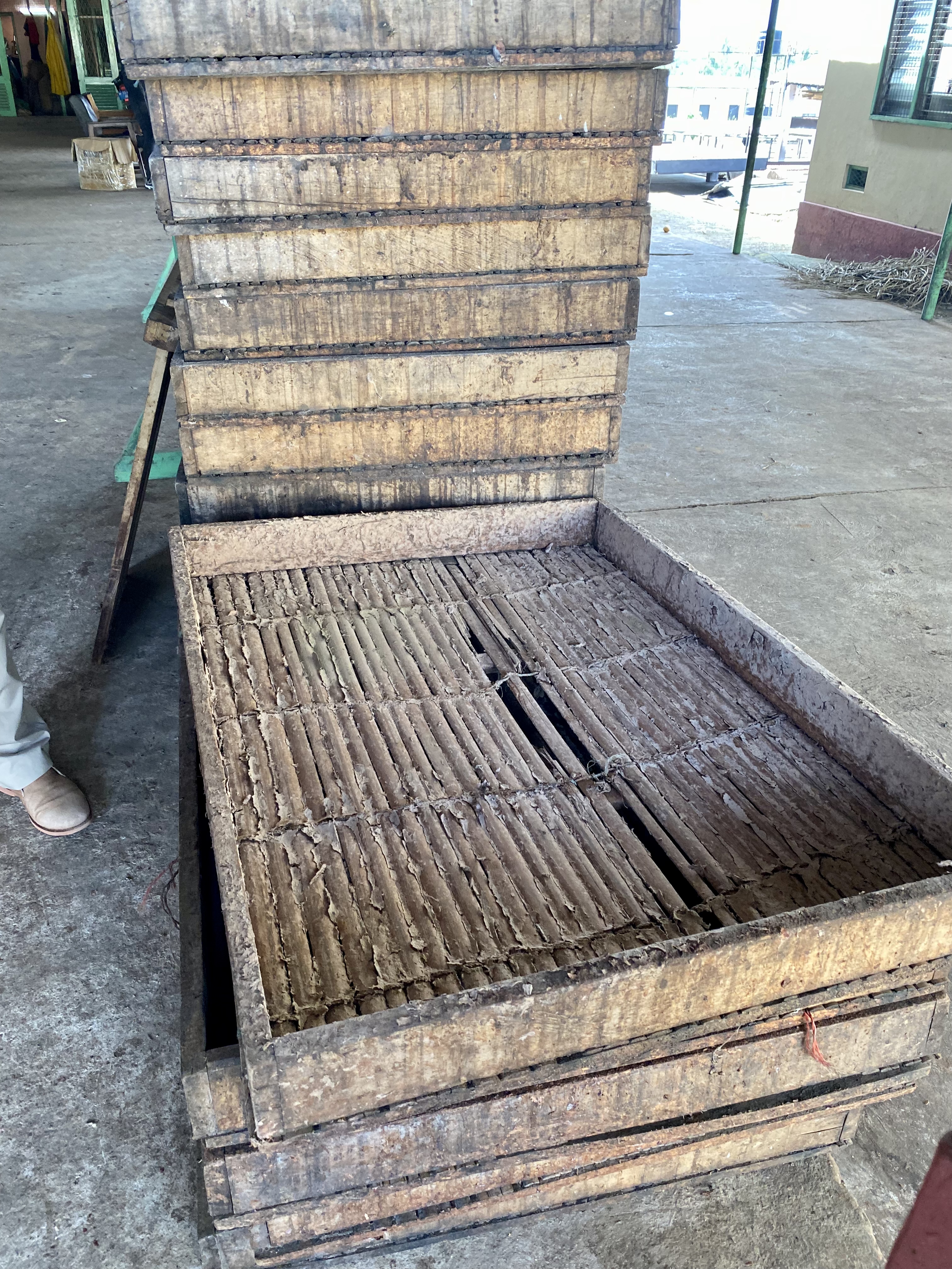 pile of fermentation trays